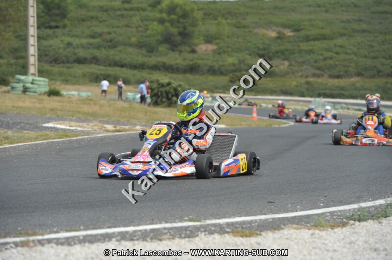 DSC (3515).JPG